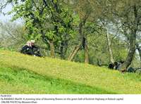 Filename=Pic09-054~20.jpg
Filesize=565KiB
Dimensions=1800x1332
Date added=Mar 09, 2020 Pic09-054~20.jpg