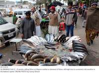 Filename=Pic12-014~9.jpg
Filesize=396KiB
Dimensions=1800x1330
Date added=Feb 12, 2019 Pic12-014~9.jpg
