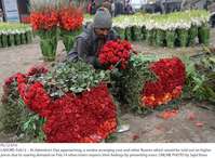 Filename=Pic12-019~9.jpg
Filesize=490KiB
Dimensions=1800x1318
Date added=Feb 12, 2019 Pic12-019~9.jpg