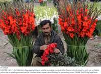 Filename=Pic12-020~9.jpg
Filesize=400KiB
Dimensions=1800x1312
Date added=Feb 12, 2019 Pic12-020~9.jpg