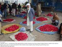 Filename=Pic12-023~10.jpg
Filesize=348KiB
Dimensions=1800x1376
Date added=Feb 12, 2019 Pic12-023~10.jpg