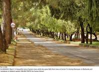 Filename=Pic12-030~24.jpg
Filesize=505KiB
Dimensions=2047x1489
Date added=May 12, 2020 Pic12-030~24.jpg