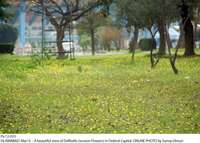 Filename=Pic12-033~22.jpg
Filesize=351KiB
Dimensions=1800x1288
Date added=Mar 12, 2020 Pic12-033~22.jpg
