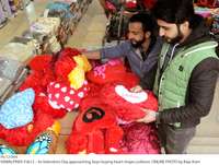 Filename=Pic12-044~9.jpg
Filesize=340KiB
Dimensions=1800x1360
Date added=Feb 12, 2019 Pic12-044~9.jpg