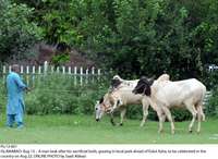 Filename=Pic13-001~3.jpg
Filesize=187KiB
Dimensions=1000x731
Date added=Aug 13, 2018 Pic13-001~3.jpg