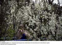 Filename=Pic13-029~10.jpg
Filesize=453KiB
Dimensions=1800x1326
Date added=Mar 13, 2019 Pic13-029~10.jpg