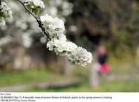 Filename=Pic13-034~21.jpg
Filesize=170KiB
Dimensions=1800x1330
Date added=Mar 13, 2020 Pic13-034~21.jpg