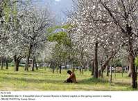 Filename=Pic13-035~21.jpg
Filesize=349KiB
Dimensions=1800x1320
Date added=Mar 13, 2020 Pic13-035~21.jpg
