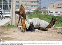 Filename=Pic14-019~24.jpg
Filesize=290KiB
Dimensions=1800x1320
Date added=Mar 14, 2020 Pic14-019~24.jpg