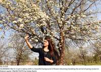 Filename=Pic14-039~22.jpg
Filesize=706KiB
Dimensions=1800x1286
Date added=Mar 14, 2020 Pic14-039~22.jpg
