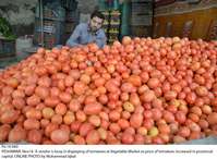 Filename=Pic14-040~18.jpg
Filesize=294KiB
Dimensions=1800x1320
Date added=Nov 14, 2019 Pic14-040~18.jpg