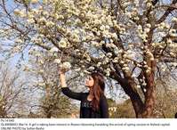 Filename=Pic14-040~22.jpg
Filesize=706KiB
Dimensions=1800x1318
Date added=Mar 14, 2020 Pic14-040~22.jpg