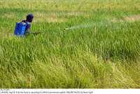 Filename=Pic14-045~28.jpg
Filesize=549KiB
Dimensions=2048x1383
Date added=Sep 14, 2020 Pic14-045~28.jpg