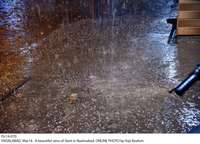 Filename=Pic14-070~14.jpg
Filesize=407KiB
Dimensions=1800x1296
Date added=Mar 14, 2020 Pic14-070~14.jpg