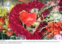 Filename=Pic14-093~1.jpg
Filesize=446KiB
Dimensions=1800x1300
Date added=Feb 14, 2019 Pic14-093~1.jpg