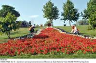 Filename=Pic15-007.jpg
Filesize=242KiB
Dimensions=1000x659
Date added=Apr 15, 2018 Pic15-007.jpg