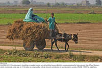 Filename=Pic15-010~29.jpg
Filesize=477KiB
Dimensions=2047x1364
Date added=Oct 15, 2020 Pic15-010~29.jpg