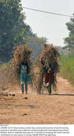 Filename=Pic15-011~29.jpg
Filesize=340KiB
Dimensions=1115x2047
Date added=Oct 15, 2020 Pic15-011~29.jpg