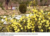 Filename=Pic15-018~22.jpg
Filesize=454KiB
Dimensions=1800x1306
Date added=Feb 15, 2020 Pic15-018~22.jpg