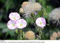 Filename=Pic15-019.jpg
Filesize=103KiB
Dimensions=1000x711
Date added=Apr 15, 2018 Pic15-019.jpg