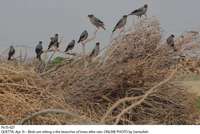 Filename=Pic15-027.jpg
Filesize=152KiB
Dimensions=1000x671
Date added=Apr 15, 2018 Pic15-027.jpg