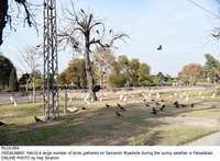 Filename=Pic16-004~19.jpg
Filesize=482KiB
Dimensions=1800x1326
Date added=Feb 16, 2020 Pic16-004~19.jpg