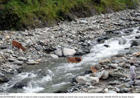 Filename=Pic16-005~26.jpg
Filesize=448KiB
Dimensions=2047x1430
Date added=Sep 16, 2020 Pic16-005~26.jpg