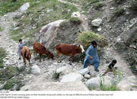 Filename=Pic16-006~26.jpg
Filesize=476KiB
Dimensions=2048x1481
Date added=Sep 16, 2020 Pic16-006~26.jpg