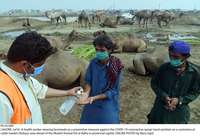 Filename=Pic16-009~23.jpg
Filesize=358KiB
Dimensions=2048x1396
Date added=Jul 16, 2020 Pic16-009~23.jpg
