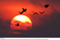 Filename=Pic16-011~26.jpg
Filesize=116KiB
Dimensions=2047x1359
Date added=Sep 16, 2020 Pic16-011~26.jpg