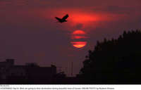 Filename=Pic16-012~25.jpg
Filesize=94KiB
Dimensions=2047x1312
Date added=Sep 16, 2020 Pic16-012~25.jpg