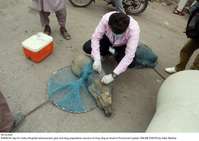 Filename=Pic16-029~21.jpg
Filesize=365KiB
Dimensions=2047x1450
Date added=Apr 16, 2020 Pic16-029~21.jpg