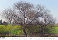 Filename=Pic16-060~18.jpg
Filesize=675KiB
Dimensions=1800x1246
Date added=Mar 16, 2020 Pic16-060~18.jpg