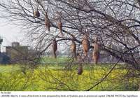 Filename=Pic16-061~18.jpg
Filesize=742KiB
Dimensions=1800x1262
Date added=Mar 16, 2020 Pic16-061~18.jpg