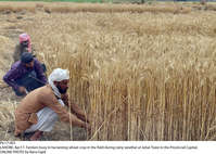 Filename=Pic17-003~20.jpg
Filesize=554KiB
Dimensions=2047x1463
Date added=Apr 17, 2020 Pic17-003~20.jpg
