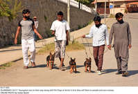 Filename=Pic17-003~26.jpg
Filesize=453KiB
Dimensions=2047x1402
Date added=Oct 17, 2020 Pic17-003~26.jpg
