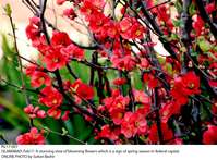 Filename=Pic17-007~19.jpg
Filesize=338KiB
Dimensions=1800x1328
Date added=Feb 17, 2020 Pic17-007~19.jpg