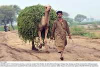 Filename=Pic17-009~25.jpg
Filesize=382KiB
Dimensions=2047x1369
Date added=Jul 17, 2020 Pic17-009~25.jpg