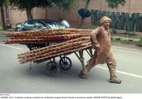 Filename=Pic17-012~25.jpg
Filesize=318KiB
Dimensions=2047x1425
Date added=Jul 17, 2020 Pic17-012~25.jpg