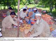 Filename=Pic17-014~23.jpg
Filesize=441KiB
Dimensions=2047x1484
Date added=May 17, 2020 Pic17-014~23.jpg