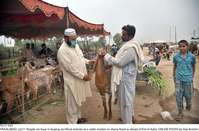 Filename=Pic17-023~25.jpg
Filesize=302KiB
Dimensions=2048x1349
Date added=Jul 17, 2020 Pic17-023~25.jpg