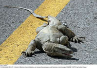 Filename=Pic17-028~28.jpg
Filesize=550KiB
Dimensions=2047x1438
Date added=Oct 17, 2020 Pic17-028~28.jpg