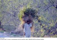 Filename=Pic17-031~20.jpg
Filesize=435KiB
Dimensions=1800x1270
Date added=Feb 17, 2020 Pic17-031~20.jpg