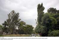 Filename=Pic17-031~25.jpg
Filesize=290KiB
Dimensions=2047x1402
Date added=Jul 17, 2020 Pic17-031~25.jpg