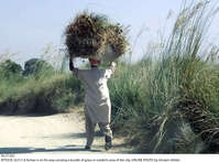 Filename=Pic17-031~28.jpg
Filesize=428KiB
Dimensions=2048x1512
Date added=Oct 17, 2020 Pic17-031~28.jpg