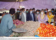 Filename=Pic17-031~34.jpg
Filesize=348KiB
Dimensions=2048x1464
Date added=Apr 17, 2021 Pic17-031~34.jpg