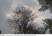 Filename=Pic17-046~33.jpg
Filesize=407KiB
Dimensions=2047x1440
Date added=Apr 17, 2021 Pic17-046~33.jpg