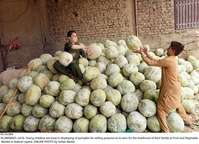 Filename=Pic18-004~25.jpg
Filesize=390KiB
Dimensions=2048x1482
Date added=Jul 18, 2020 Pic18-004~25.jpg
