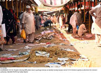 Filename=Pic18-006~29.jpg
Filesize=582KiB
Dimensions=2047x1481
Date added=Oct 18, 2020 Pic18-006~29.jpg