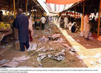 Filename=Pic18-007~29.jpg
Filesize=603KiB
Dimensions=2048x1476
Date added=Oct 18, 2020 Pic18-007~29.jpg